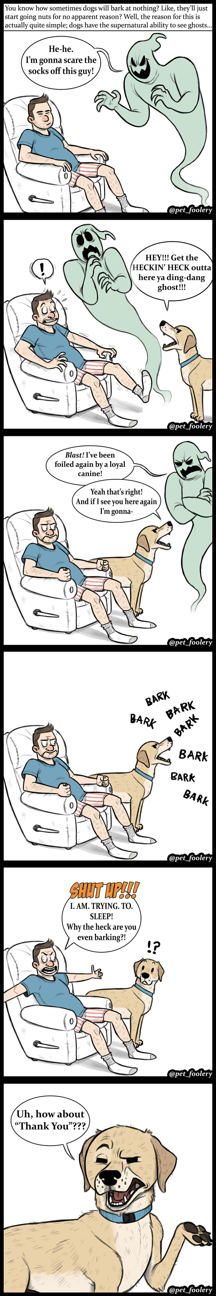 Animal Comics
