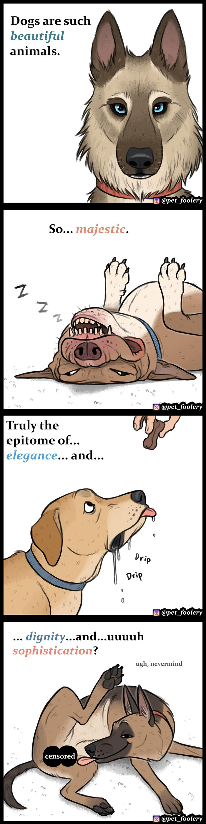 Animal Comics