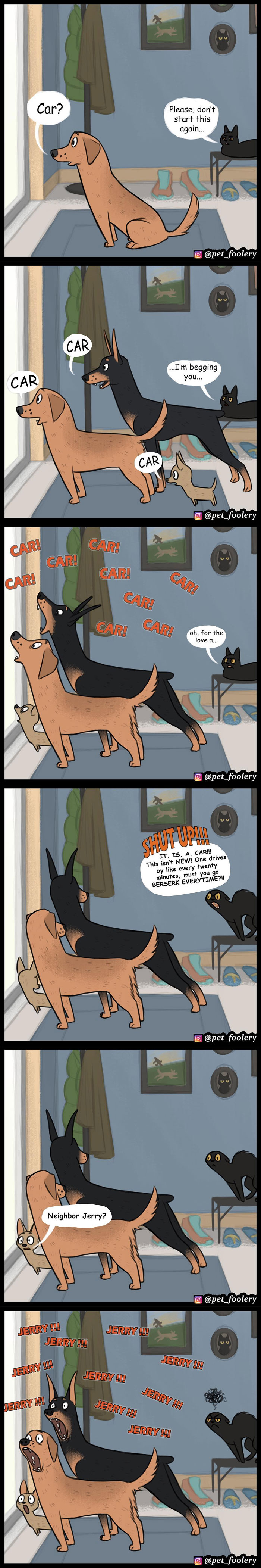 Animal Comics