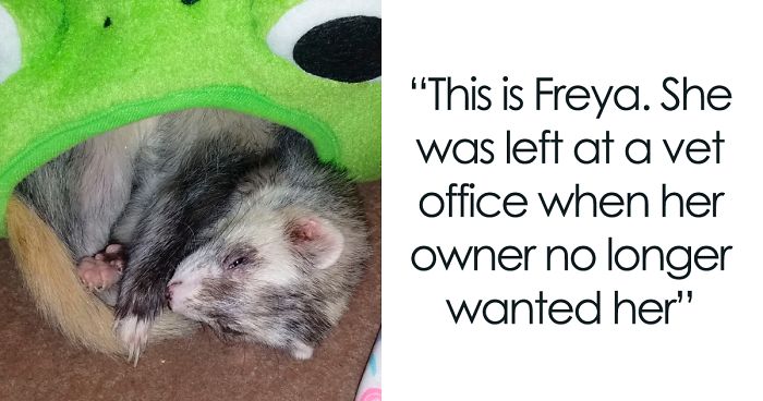 I’m Starting An Animal Rescue To Give Abandoned Animals A Second Chance At Life