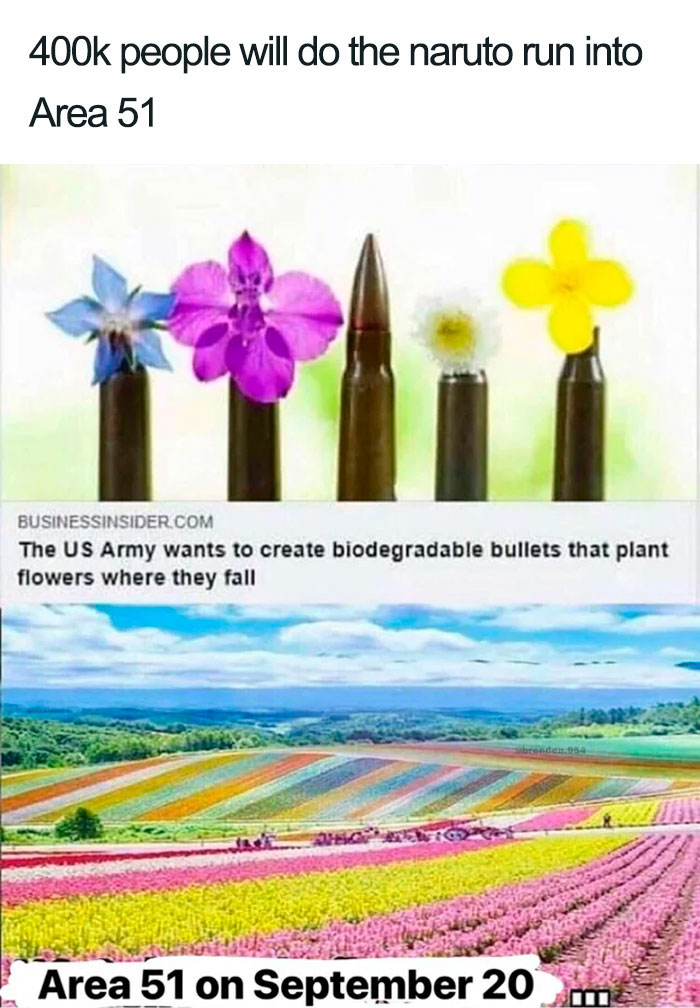 Area-51-Memes