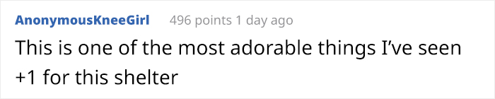 This Animal Shelter Asks People To Raid Them Instead Of Area 51