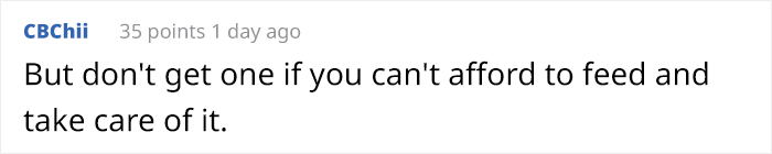 This Animal Shelter Asks People To Raid Them Instead Of Area 51