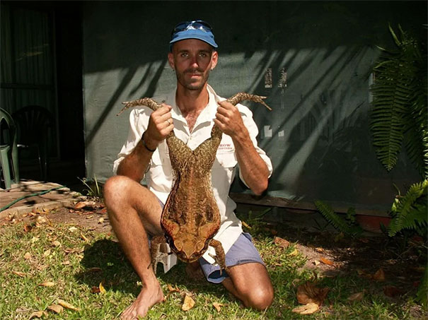 Man in a cap holding a large unusual animal upside down, illustrating bizarre wildlife in Australia, land of nope.