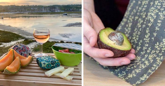 This 24-Year-Old Created Organic Zero-Waste Food Packaging To Replace Plastic