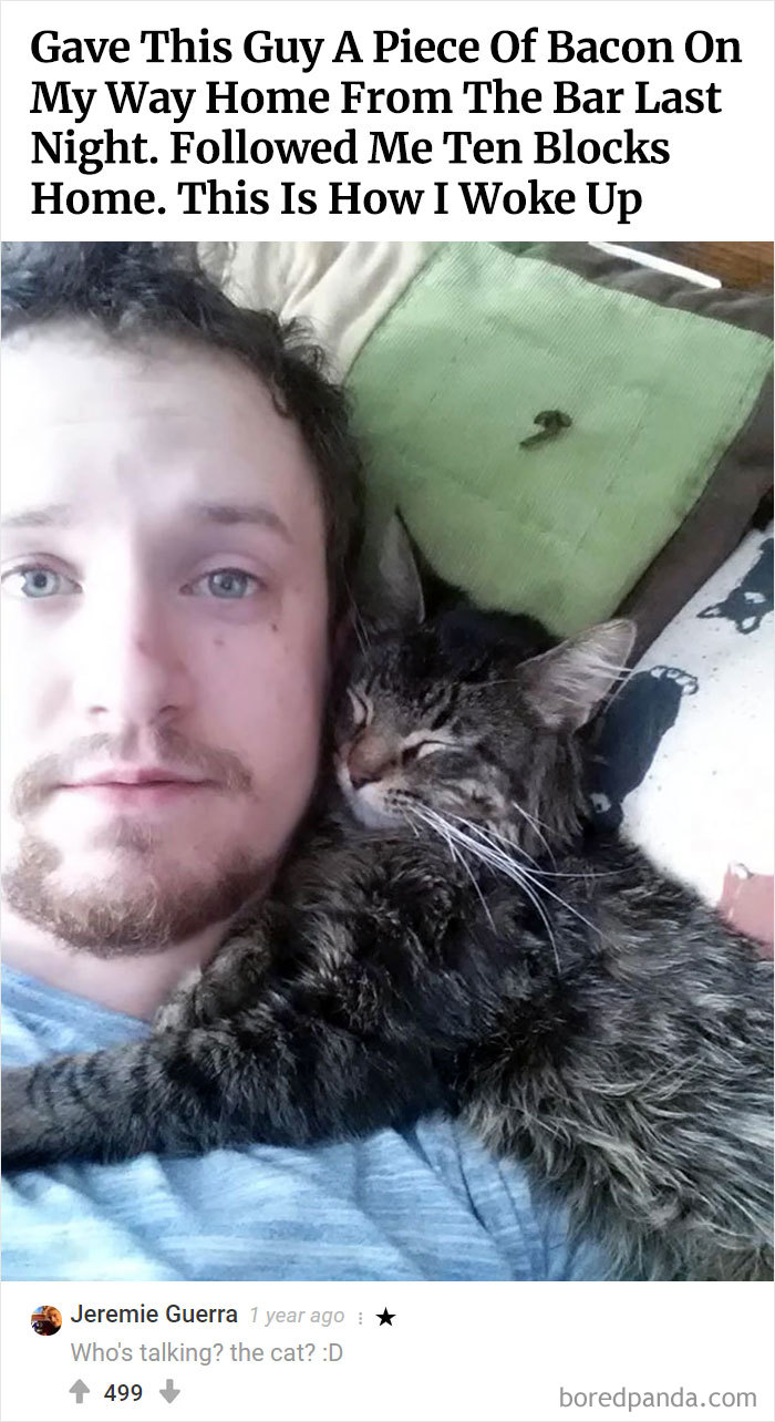 Best-Bored-Panda-Users-Comments