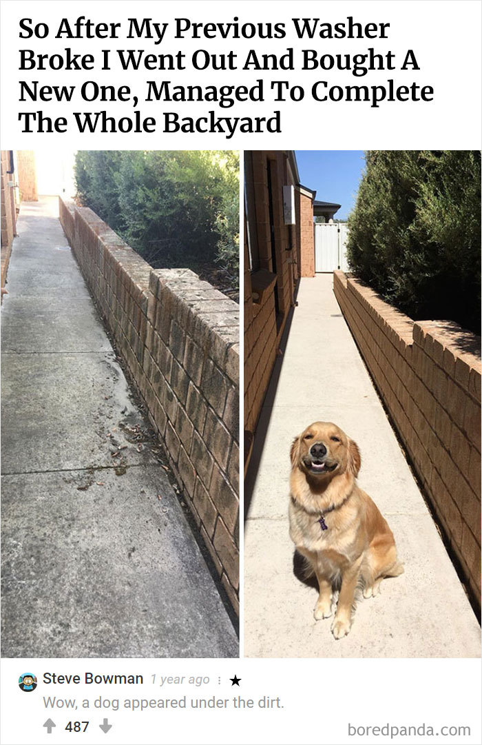 Best-Bored-Panda-Users-Comments