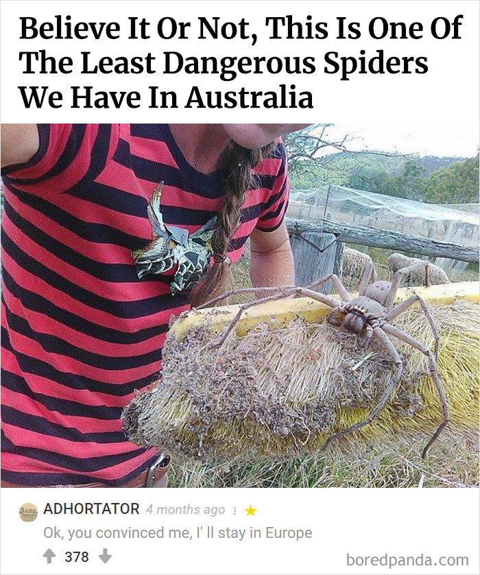 Best-Bored-Panda-Users-Comments