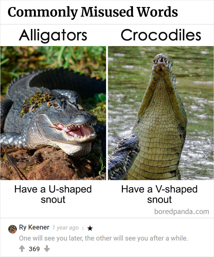 Best-Bored-Panda-Users-Comments