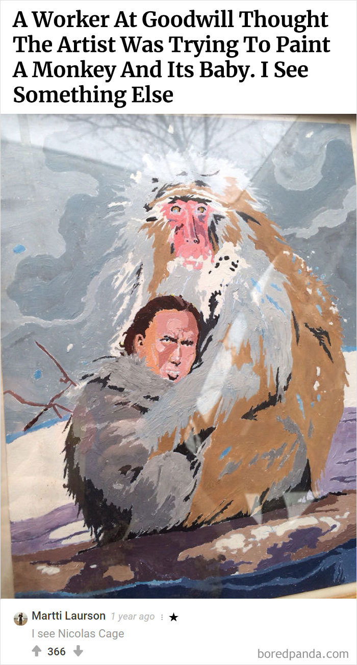 Best-Bored-Panda-Users-Comments