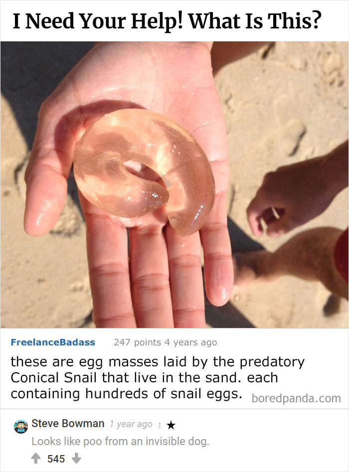 Best-Bored-Panda-Users-Comments