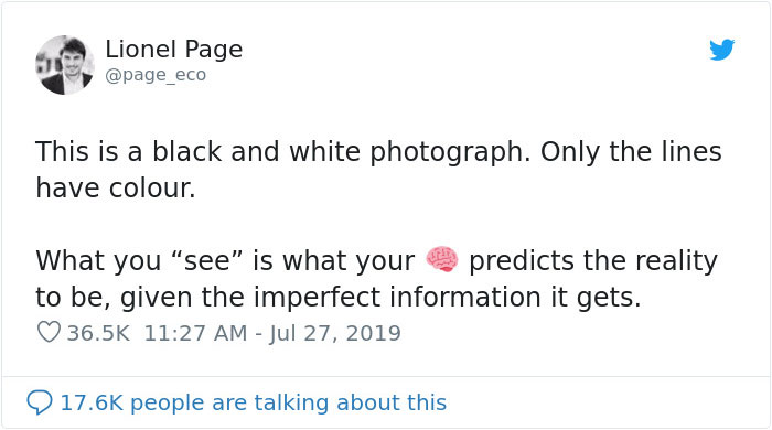 Black And White Photo Shows How An Optical Illusion Can Trick Our Brain Into Coloring It Black And White Photo Shows How An Optical Illusion Can Trick Our Brain Into Coloring It