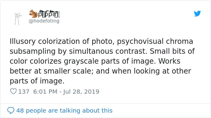 Black And White Photo Shows How An Optical Illusion Can Trick Our Brain Into Coloring It