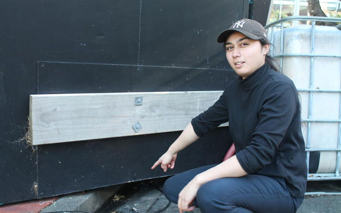 Police Remove Rogue Penguins From A Sushi Shop, Have To Return After They Come Back