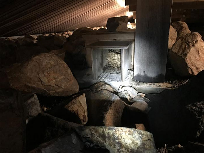 Police Remove Rogue Penguins From A Sushi Shop, Have To Return After They Come Back