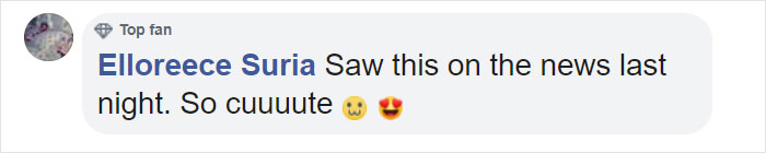 Police Remove Rogue Penguins From A Sushi Shop, Have To Return After They Come Back Police Remove Rogue Penguins From A Sushi Shop, Have To Return After They Come Back