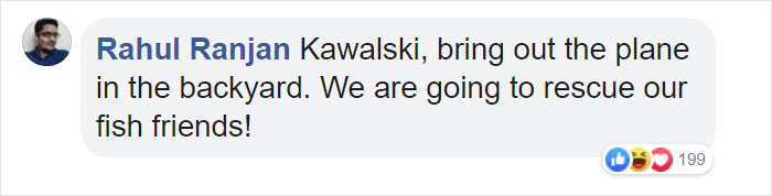 Police Remove Rogue Penguins From A Sushi Shop, Have To Return After They Come Back