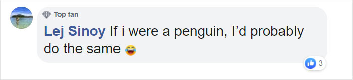 Police Remove Rogue Penguins From A Sushi Shop, Have To Return After They Come Back