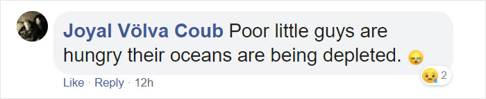 Police Remove Rogue Penguins From A Sushi Shop, Have To Return After They Come Back