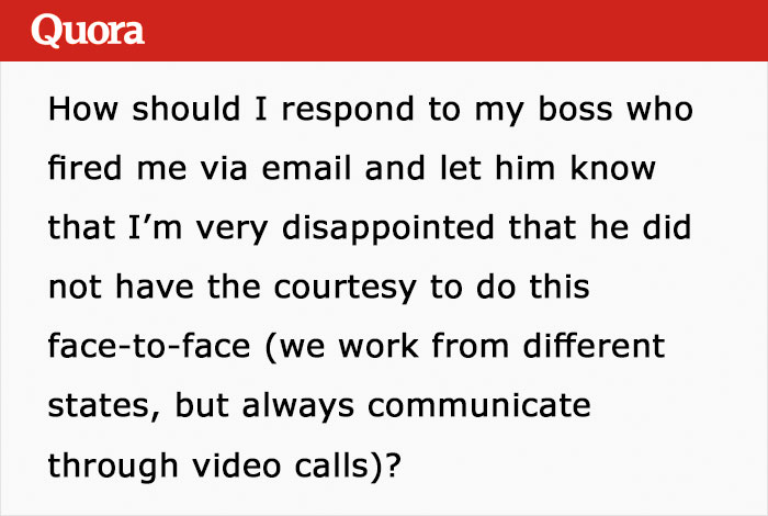 Person Asks How To Respond To Boss That Fired Them Via Email, Gets 9 Creative Answers Person Asks How To Respond To Boss That Fired Them Via Email, Gets 9 Creative Answers