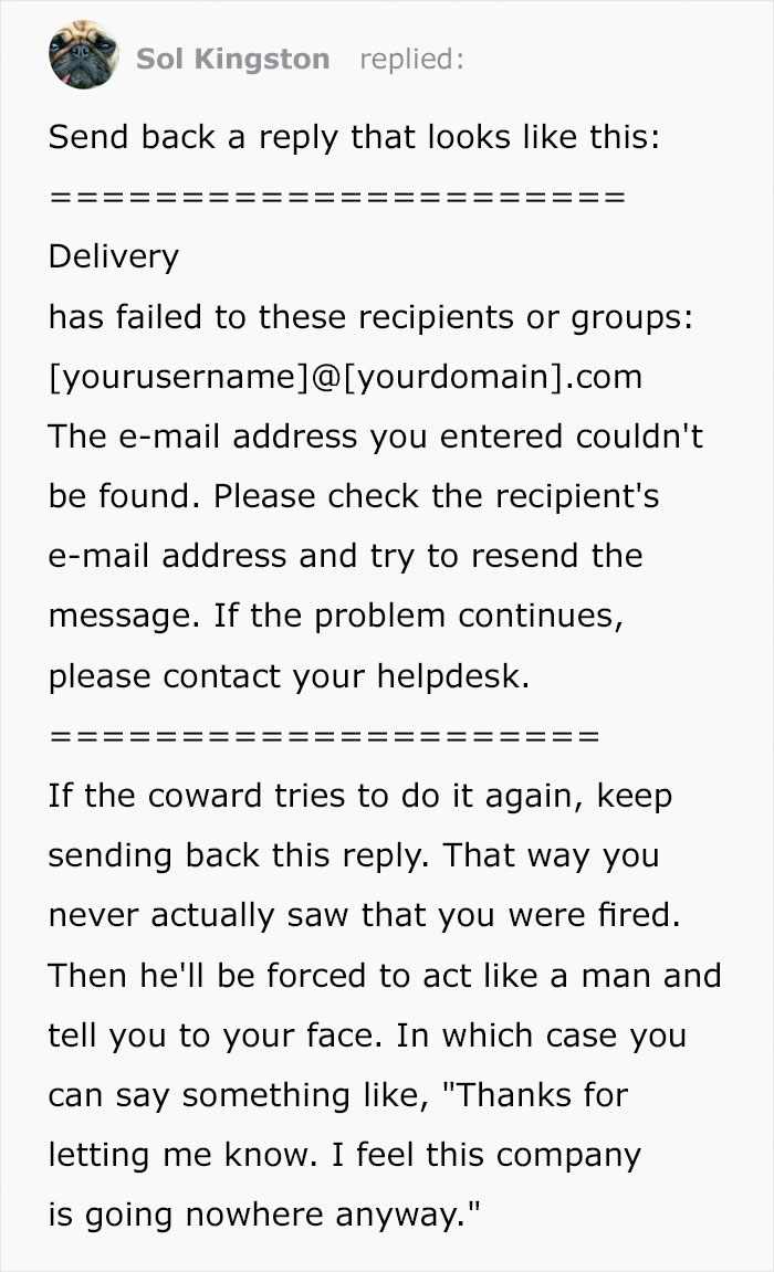 Person Asks How To Respond To Boss That Fired Them Via Email, Gets 9 Creative Answers Person Asks How To Respond To Boss That Fired Them Via Email, Gets 9 Creative Answers