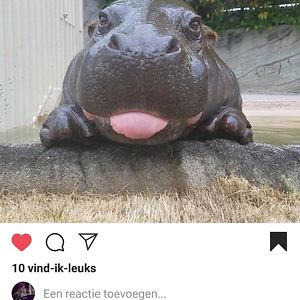 resa-van-dingenen avatar