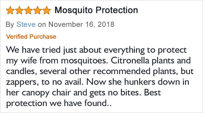 Amazon Is Selling This Canopy Chair That Protects You From Bugs Amazon Is Selling This Canopy Chair That Protects You From Bugs