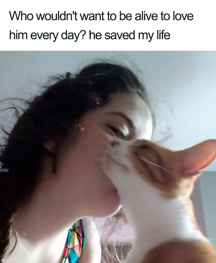 Wholesome-Cat-Posts