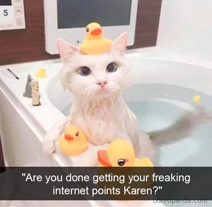 Cat-Snapchats