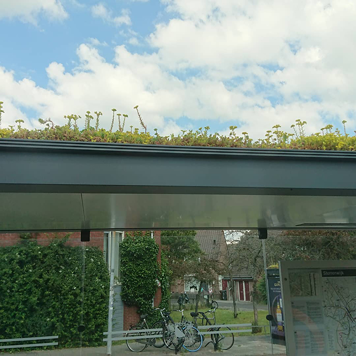 The Netherlands Turns 316 Bus Stops Into Bee Stops