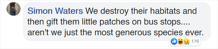 The Netherlands Turns 316 Bus Stops Into Bee Stops