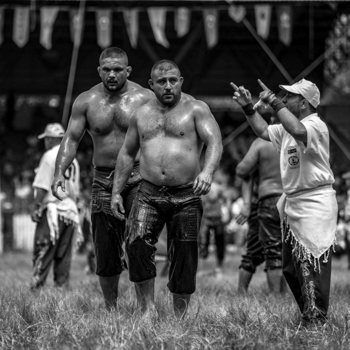 Muscles, Sweat, Blood, And Olive Oil