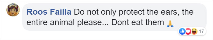 Turns Out, Farmers Are Protecting Their Calves From Frostbite With Earmuffs, And It’s Too Cute Turns Out, Farmers Are Protecting Their Calves From Frostbite With Earmuffs, And It’s Too Cute