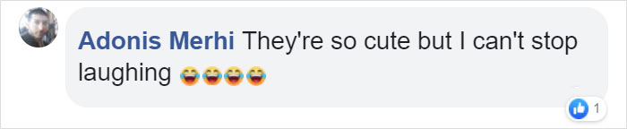Turns Out, Farmers Are Protecting Their Calves From Frostbite With Earmuffs, And It’s Too Cute Turns Out, Farmers Are Protecting Their Calves From Frostbite With Earmuffs, And It’s Too Cute