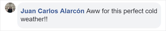 Turns Out, Farmers Are Protecting Their Calves From Frostbite With Earmuffs, And It’s Too Cute