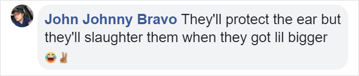 Turns Out, Farmers Are Protecting Their Calves From Frostbite With Earmuffs, And It’s Too Cute Turns Out, Farmers Are Protecting Their Calves From Frostbite With Earmuffs, And It’s Too Cute