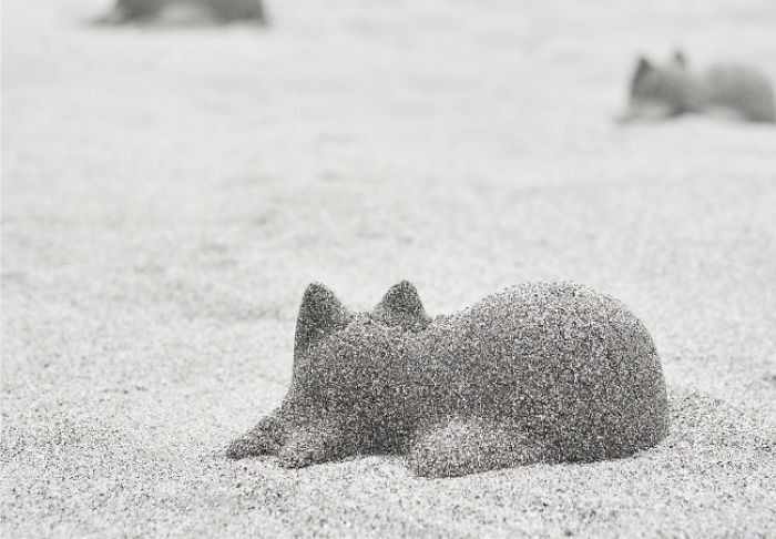 Turn Anything Into A Cat With This Japanese Cat Mold Turn Anything Into A Cat With This Japanese Cat Mold