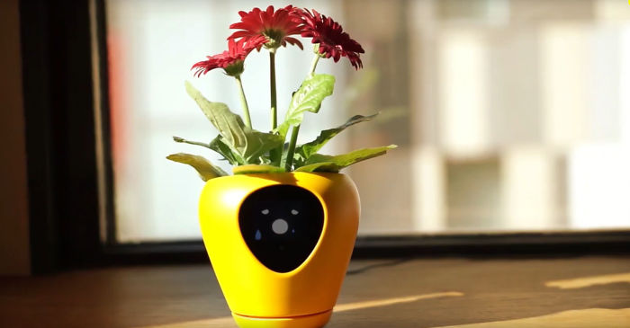 This Planter Turns Your Plants Into Tamagotchi-Like Pets This Planter Turns Your Plants Into Tamagotchi-Like Pets