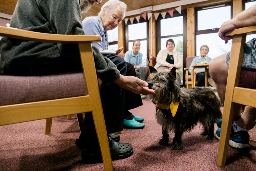 Special Mention Assistance Dogs Charity Category, ‘Therapet Abe’ By Cat Topham, UK