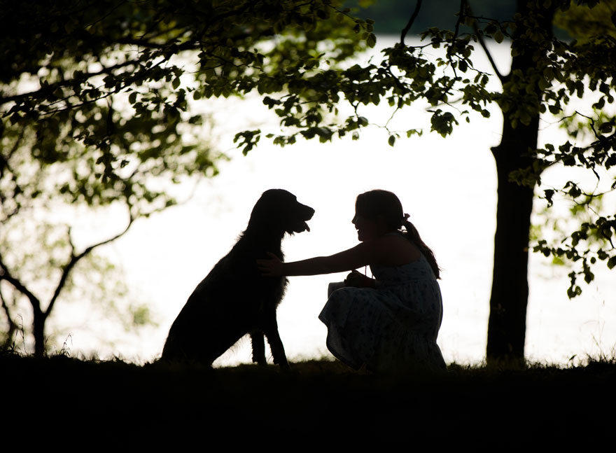Man’s Best Friend 1st Place Winner ‘Connected’ By Cat Race, UK