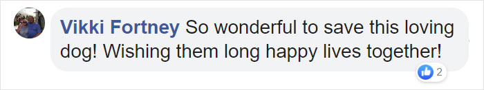 Man Rescues A Beagle From Being Euthanized In A Shelter, The Dog Can't Contain His Gratitude, Hugs His Rescuer Man Rescues A Beagle From Being Euthanized In A Shelter, The Dog Can't Contain His Gratitude, Hugs His Rescuer