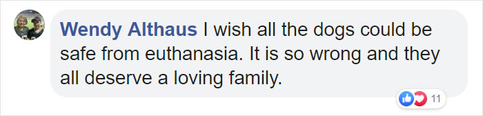 Man Rescues A Beagle From Being Euthanized In A Shelter, The Dog Can't Contain His Gratitude, Hugs His Rescuer Man Rescues A Beagle From Being Euthanized In A Shelter, The Dog Can't Contain His Gratitude, Hugs His Rescuer