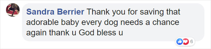 Man Rescues A Beagle From Being Euthanized In A Shelter, The Dog Can't Contain His Gratitude, Hugs His Rescuer Man Rescues A Beagle From Being Euthanized In A Shelter, The Dog Can't Contain His Gratitude, Hugs His Rescuer