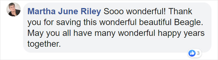 Man Rescues A Beagle From Being Euthanized In A Shelter, The Dog Can't Contain His Gratitude, Hugs His Rescuer Man Rescues A Beagle From Being Euthanized In A Shelter, The Dog Can't Contain His Gratitude, Hugs His Rescuer