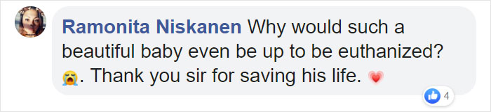 Man Rescues A Beagle From Being Euthanized In A Shelter, The Dog Can't Contain His Gratitude, Hugs His Rescuer Man Rescues A Beagle From Being Euthanized In A Shelter, The Dog Can't Contain His Gratitude, Hugs His Rescuer