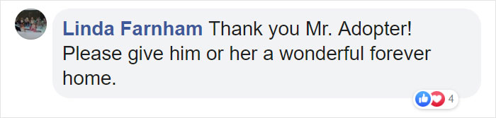 Man Rescues A Beagle From Being Euthanized In A Shelter, The Dog Can't Contain His Gratitude, Hugs His Rescuer Man Rescues A Beagle From Being Euthanized In A Shelter, The Dog Can't Contain His Gratitude, Hugs His Rescuer