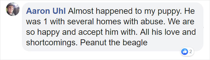 Man Rescues A Beagle From Being Euthanized In A Shelter, The Dog Can't Contain His Gratitude, Hugs His Rescuer Man Rescues A Beagle From Being Euthanized In A Shelter, The Dog Can't Contain His Gratitude, Hugs His Rescuer