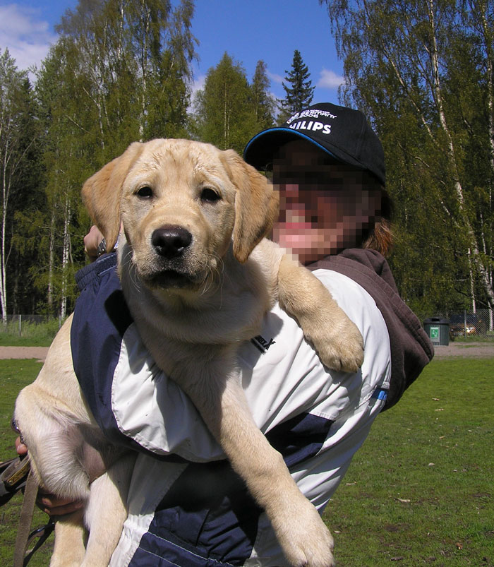 Woman Demands This Dog's Name Be Changed Because That's How She Wants To Call Her Newborn, Goes Ballistic After Owner Refuses Woman Demands This Dog's Name Be Changed Because That's How She Wants To Call Her Newborn, Goes Ballistic After Owner Refuses