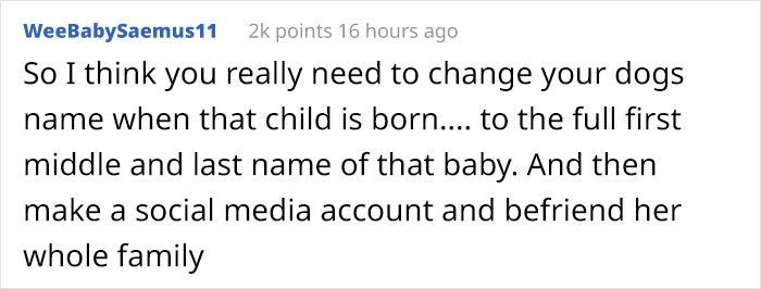 Woman Demands This Dog's Name Be Changed Because That's How She Wants To Call Her Newborn, Goes Ballistic After Owner Refuses Woman Demands This Dog's Name Be Changed Because That's How She Wants To Call Her Newborn, Goes Ballistic After Owner Refuses