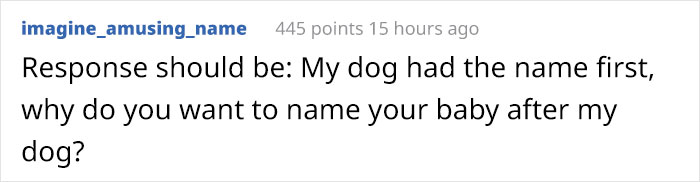 Woman Demands This Dog's Name Be Changed Because That's How She Wants To Call Her Newborn, Goes Ballistic After Owner Refuses
